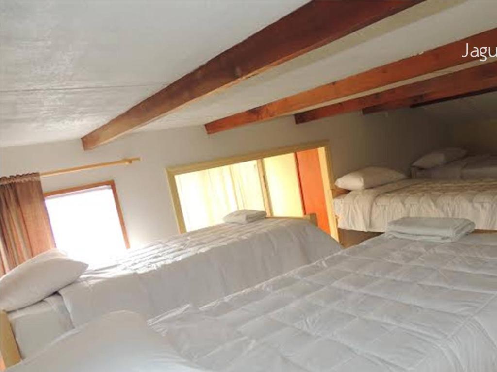 Hostel Jaguar Vina del Mar Room photo